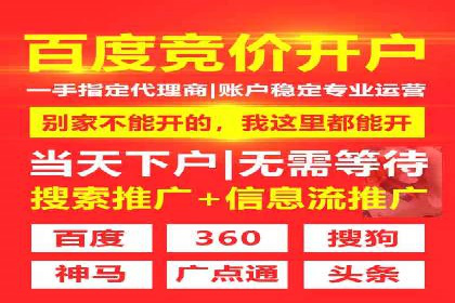 百度竞价排名案例解析：如何快速提升网站流量